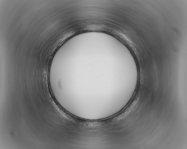 X0000112941041200909211130