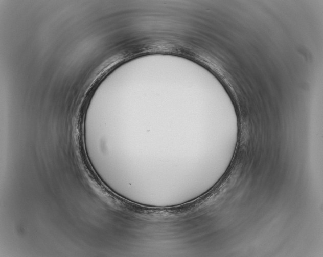 X0000112941042200909211130