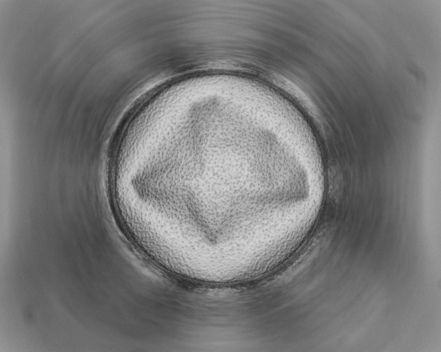 X0000112941043200909211130
