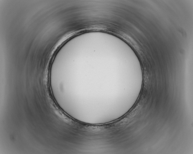 X0000112941044200909211130