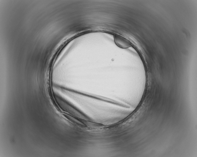 X0000112941048200909211130