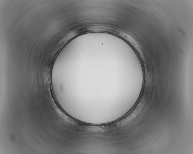 X0000112941049200909211130