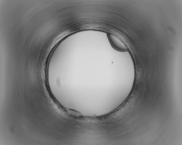 X0000112941050200909211130