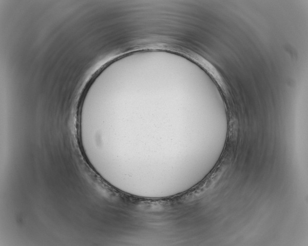 X0000112941051200909211130
