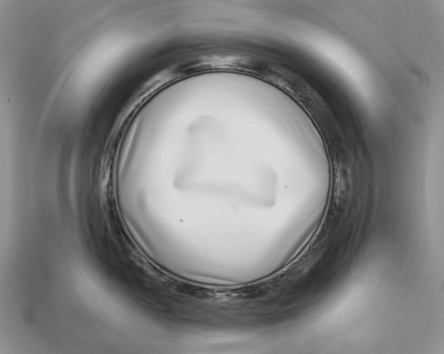 X0000112941052200909211130