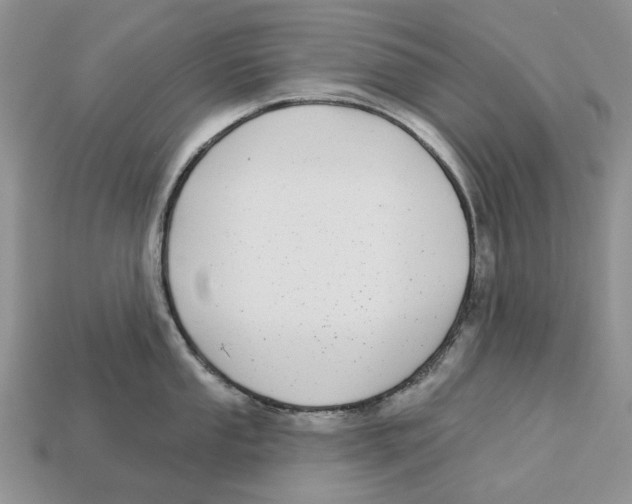 X0000112941053200909211130