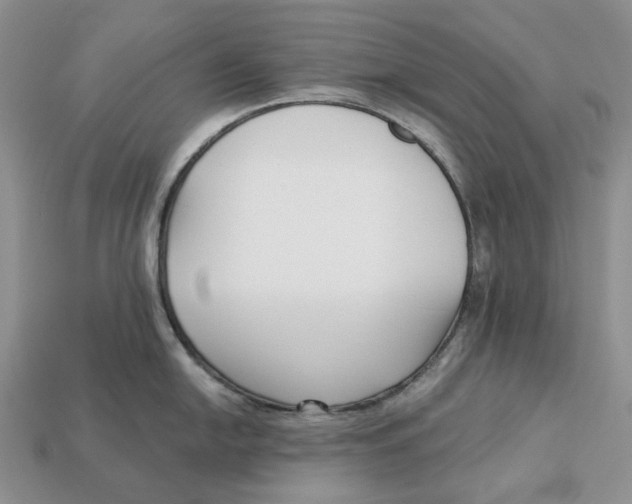 X0000112941054200909211130