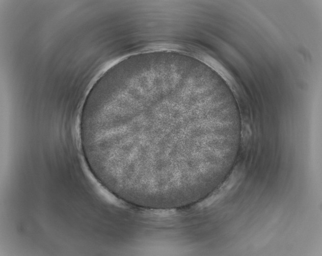 X0000112941055200909211130