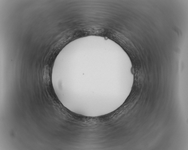 X0000112941058200909211129