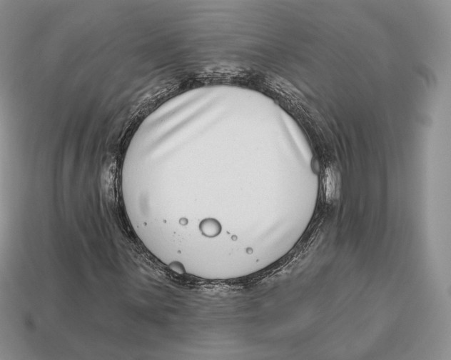 X0000112941059200909211129