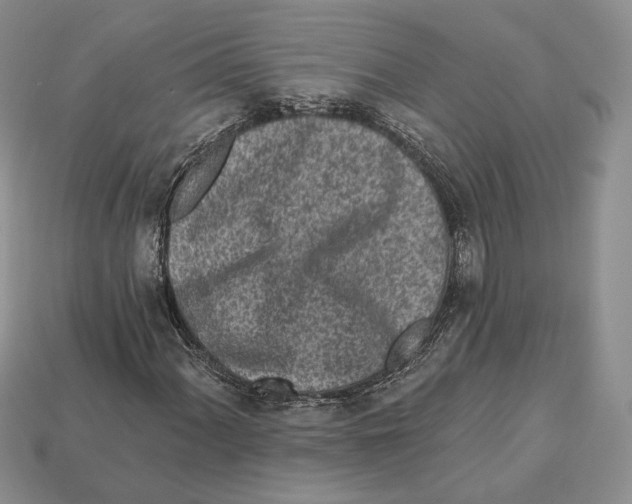 X0000112941060200909211129