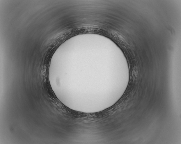 X0000112941062200909211129