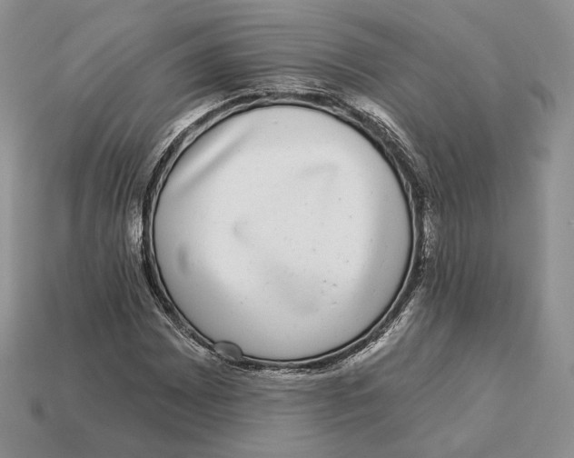 X0000112941065200909211129