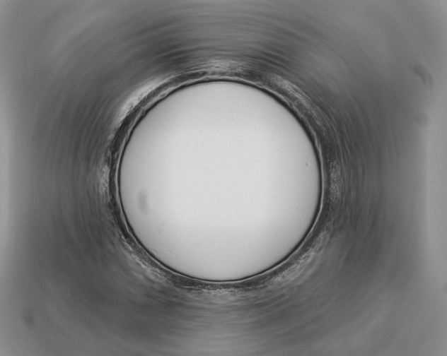 X0000112941066200909211129