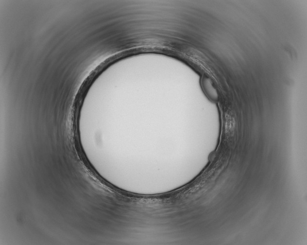 X0000112941068200909211129