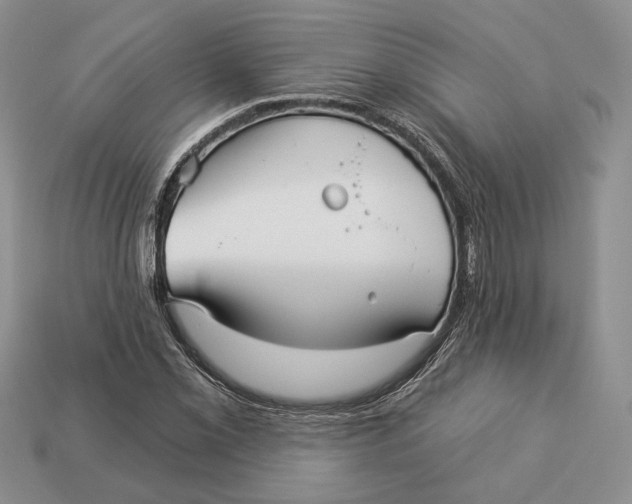 X0000112941069200909211129