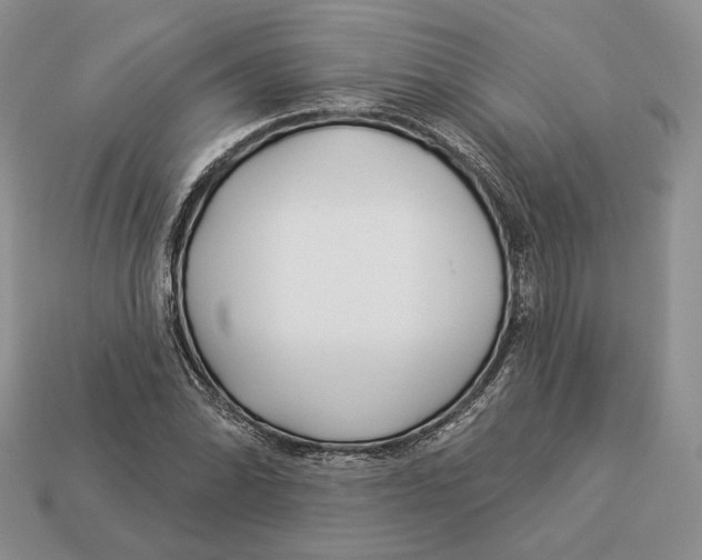 X0000112941070200909211129