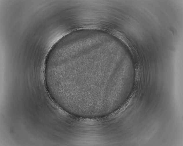 X0000112941071200909211129