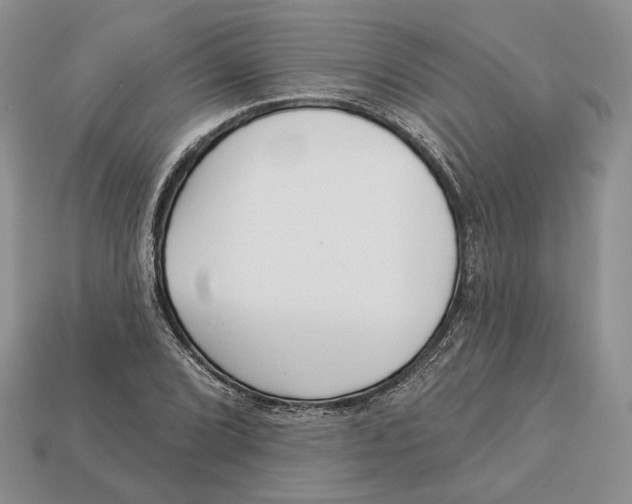 X0000112941072200909211129