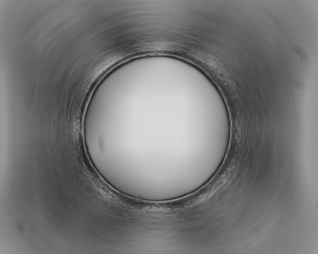 X0000112941073200909211129