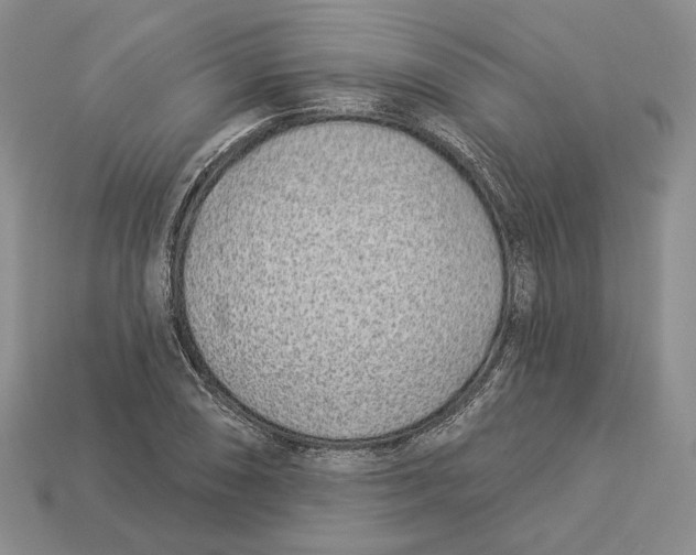 X0000112941074200909211129