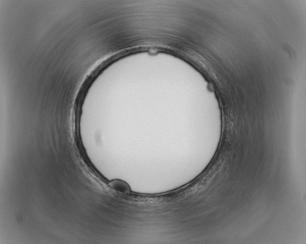 X0000112941076200909211129