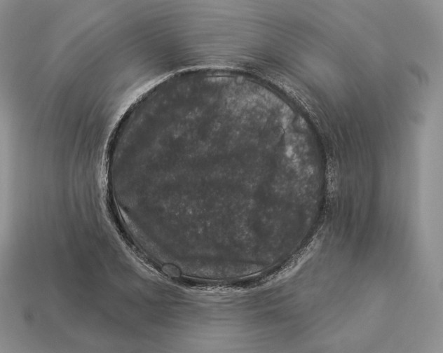 X0000112941077200909211129
