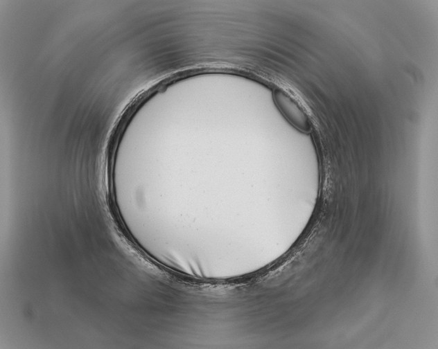 X0000112941080200909211129