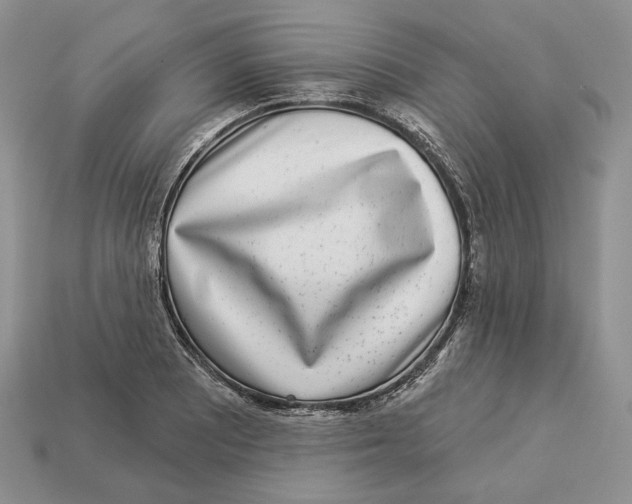 X0000112941081200909211129
