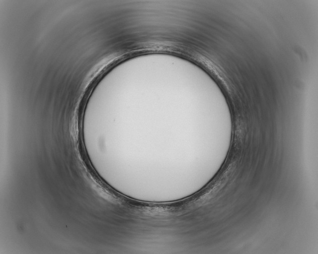 X0000112941082200909211129
