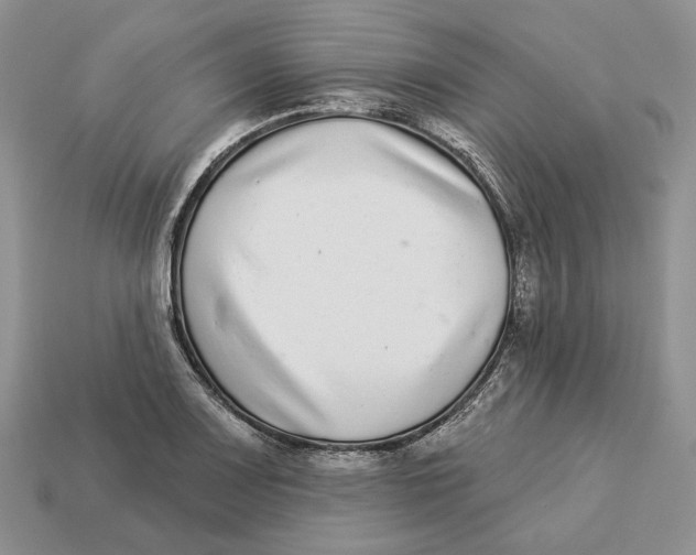 X0000112941083200909211129