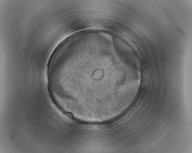 X0000112941084200909211129