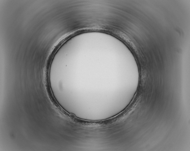 X0000112941085200909211129