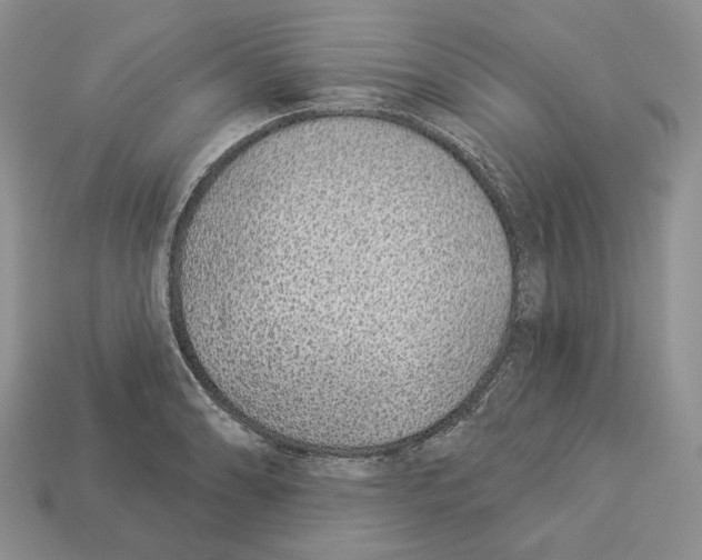 X0000112941086200909211129