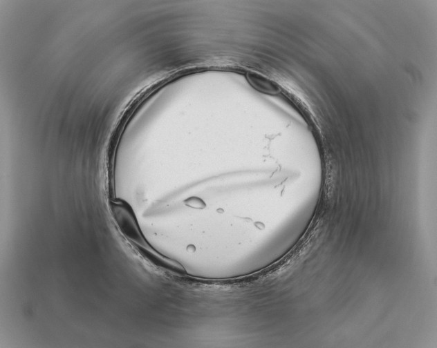 X0000112941088200909211129