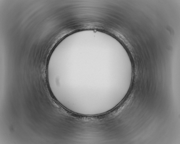 X0000112941089200909211129