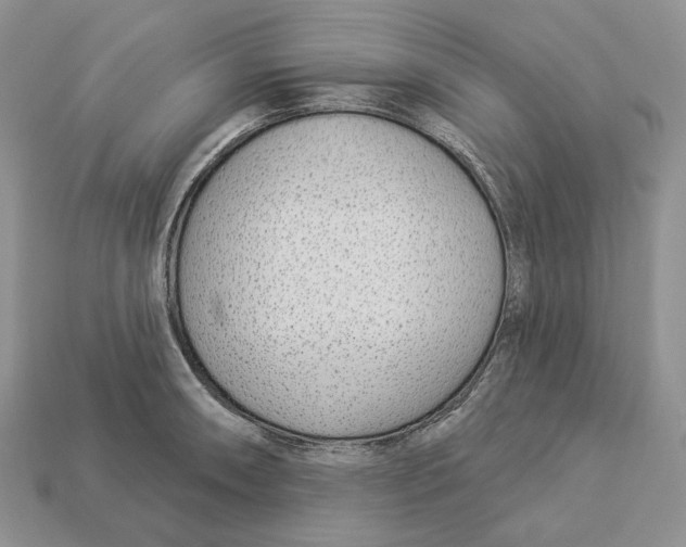 X0000112941090200909211129