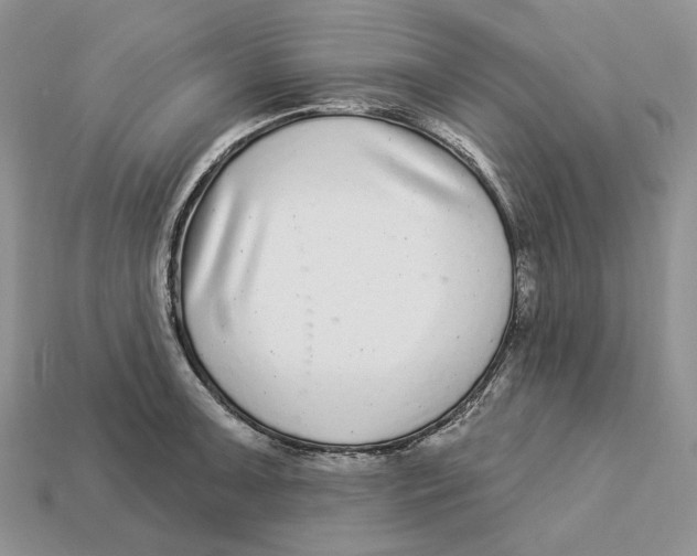 X0000112941091200909211129