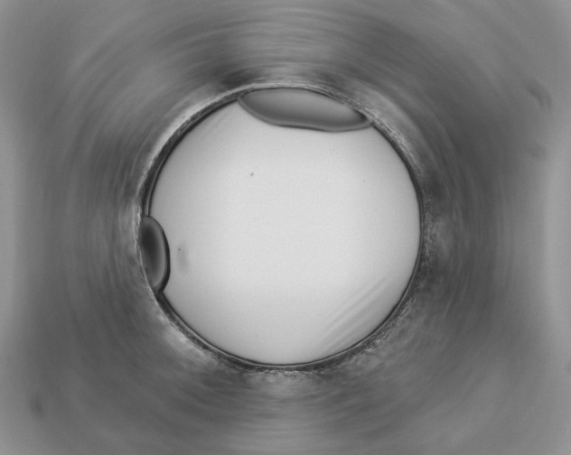 X0000112941092200909211129