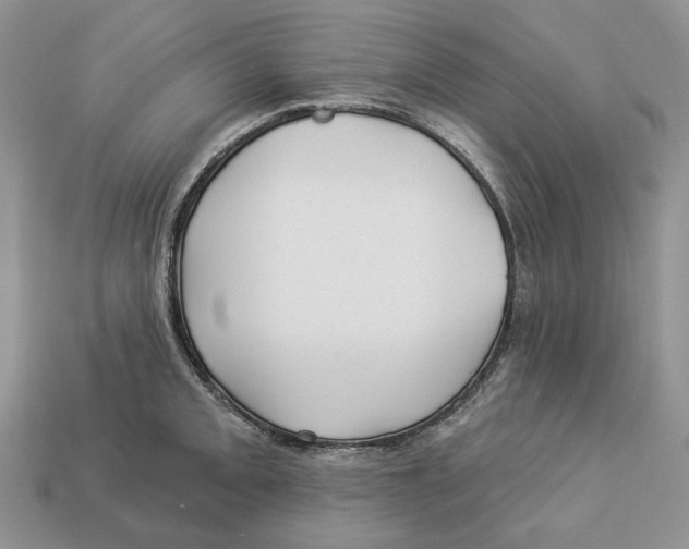 X0000112941093200909211129