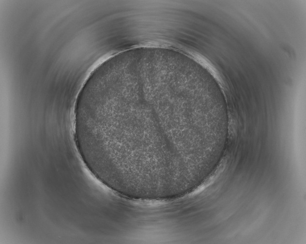 X0000112941095200909211129