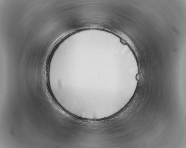 X0000112941096200909211128
