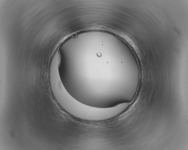 X0000112941097200909211128