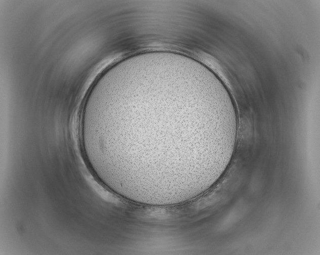 X0000112941098200909211128