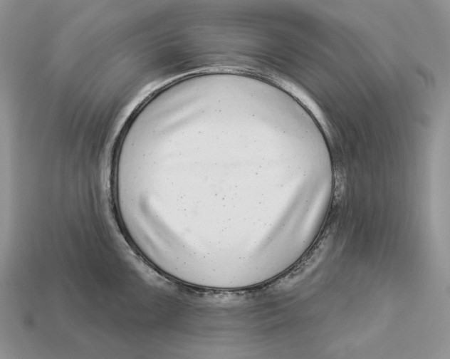 X0000112941099200909211128