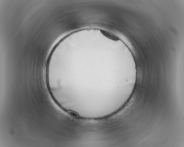 X0000112941100200909211128