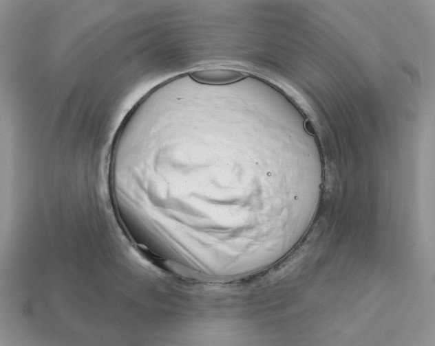 X0000112941102200909211128