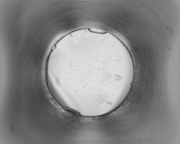 X0000112941104200909211128