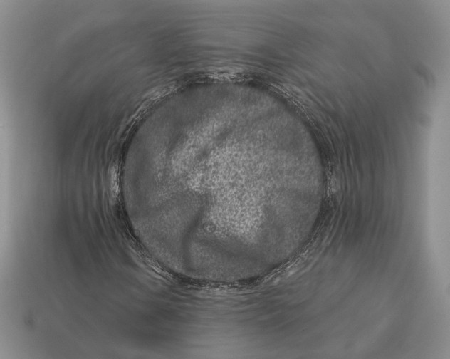 X0000112941106200909211128
