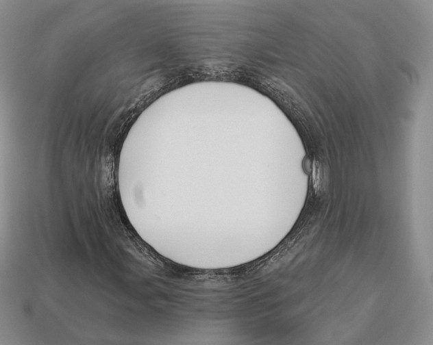 X0000112941107200909211128